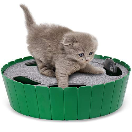 Interactive Cat Toys: Engaging Fun for Children and Feline Friends